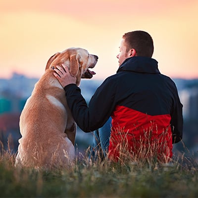 Allergy Care Allergy Care